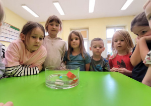 Uczniowie przeprowadzający doświadczenie z wodą.