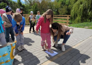 Zdjęcie 1 na 23