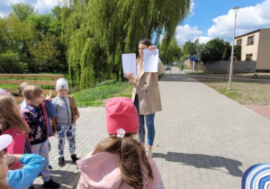 Zdjęcie 3 na 23